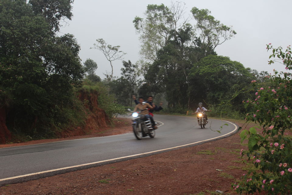 Photo of Sakleshpur :- The land with lush greenery 17/39 by Anil Kumar