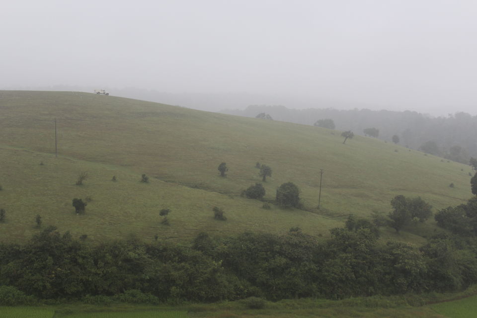 Photo of Sakleshpur :- The land with lush greenery 18/39 by Anil Kumar