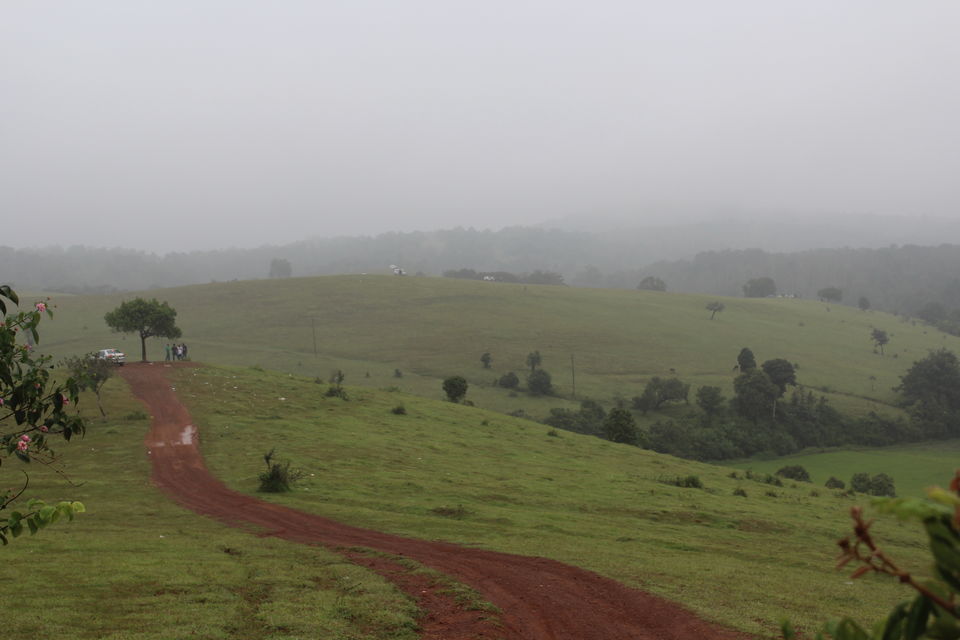 Photo of Sakleshpur :- The land with lush greenery 19/39 by Anil Kumar