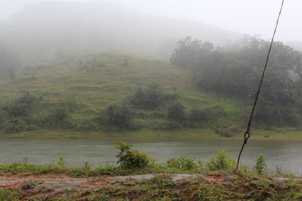 Photo of Sakleshpur :- The land with lush greenery 20/39 by Anil Kumar