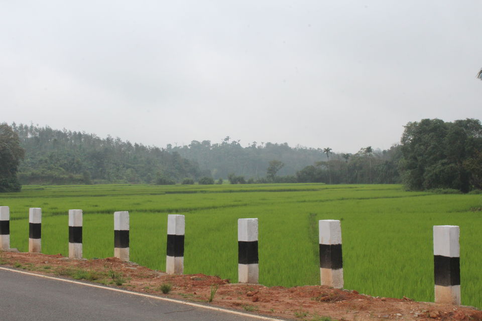Photo of Sakleshpur :- The land with lush greenery 21/39 by Anil Kumar