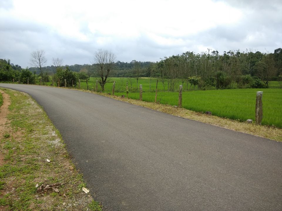 Photo of Sakleshpur :- The land with lush greenery 23/39 by Anil Kumar