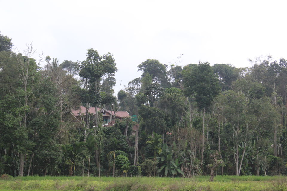 Photo of Sakleshpur :- The land with lush greenery 25/39 by Anil Kumar