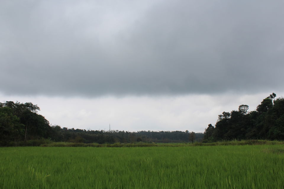 Photo of Sakleshpur :- The land with lush greenery 28/39 by Anil Kumar