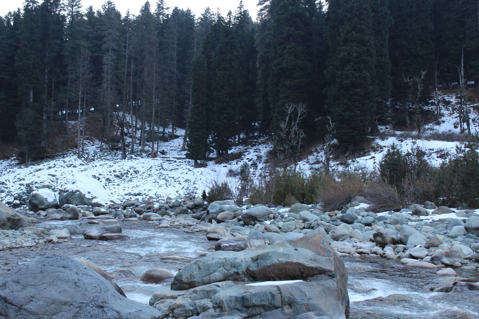 Photo of Gorgeous Gulmarg and a Picture Perfect Pahalgam 28/35 by Anil Kumar