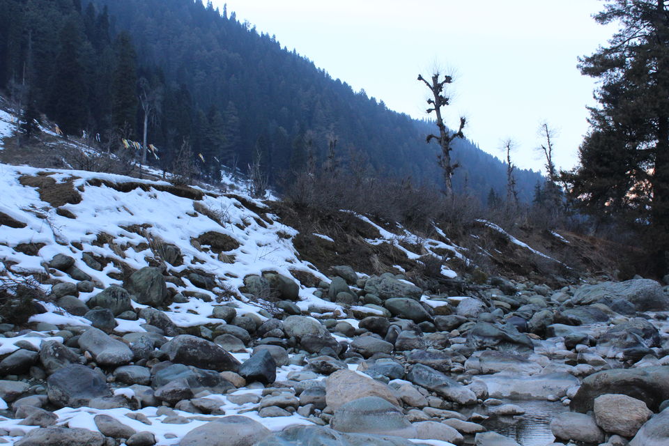 Photo of Gorgeous Gulmarg and a Picture Perfect Pahalgam 29/35 by Anil Kumar