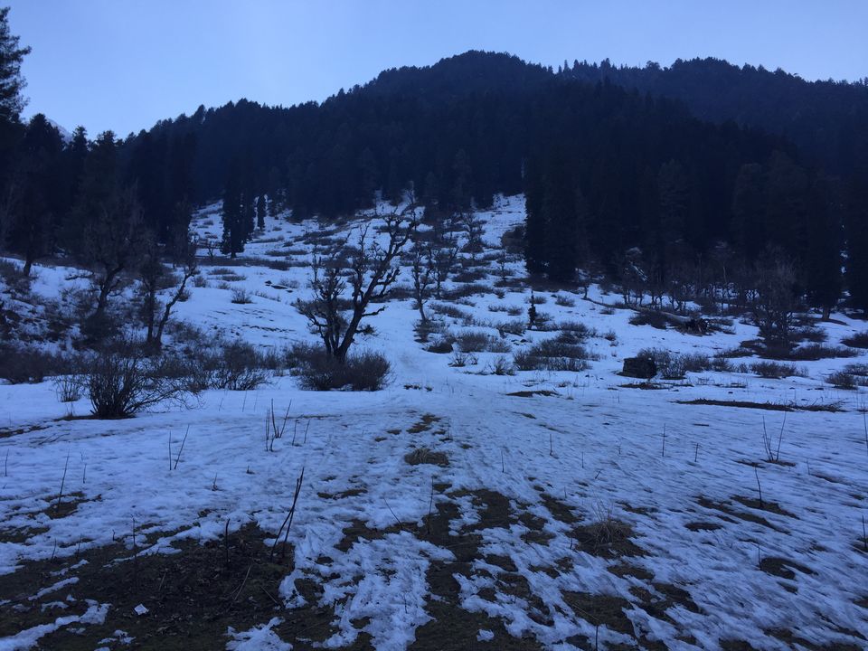Photo of Gorgeous Gulmarg and a Picture Perfect Pahalgam 31/35 by Anil Kumar