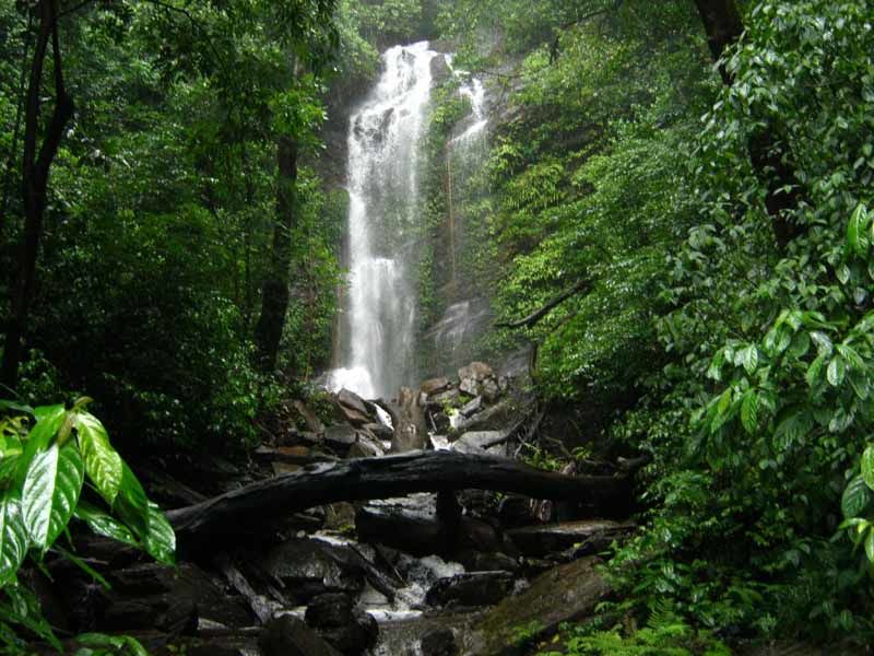 Photo of Hidlumane Falls, Shimoga, Karnataka, India by Anil Kumar