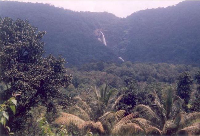 Photo of Koosalli Falls, Karnataka by Anil Kumar