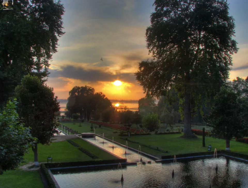 Photo of Nishat Garden, Nishat, Srinagar by Anil Kumar