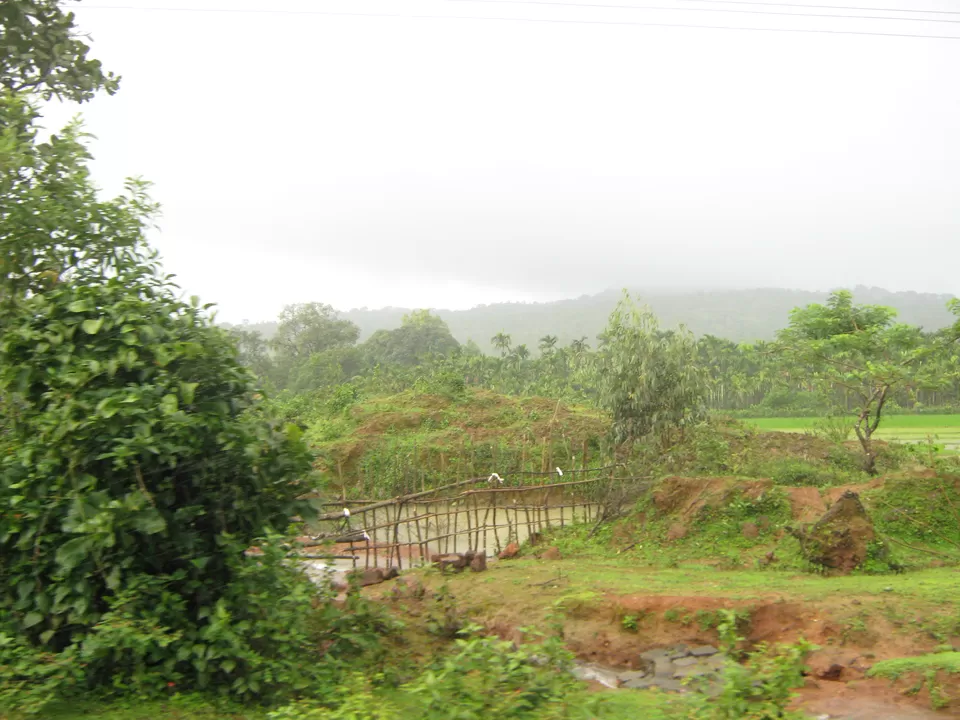 Photo of Sagara, Karnataka, India by Anil Kumar