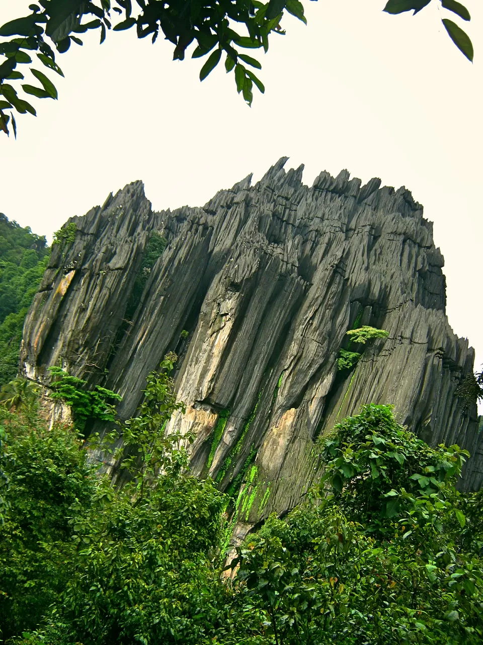 Photo of Yana, Karnataka, India by Anil Kumar