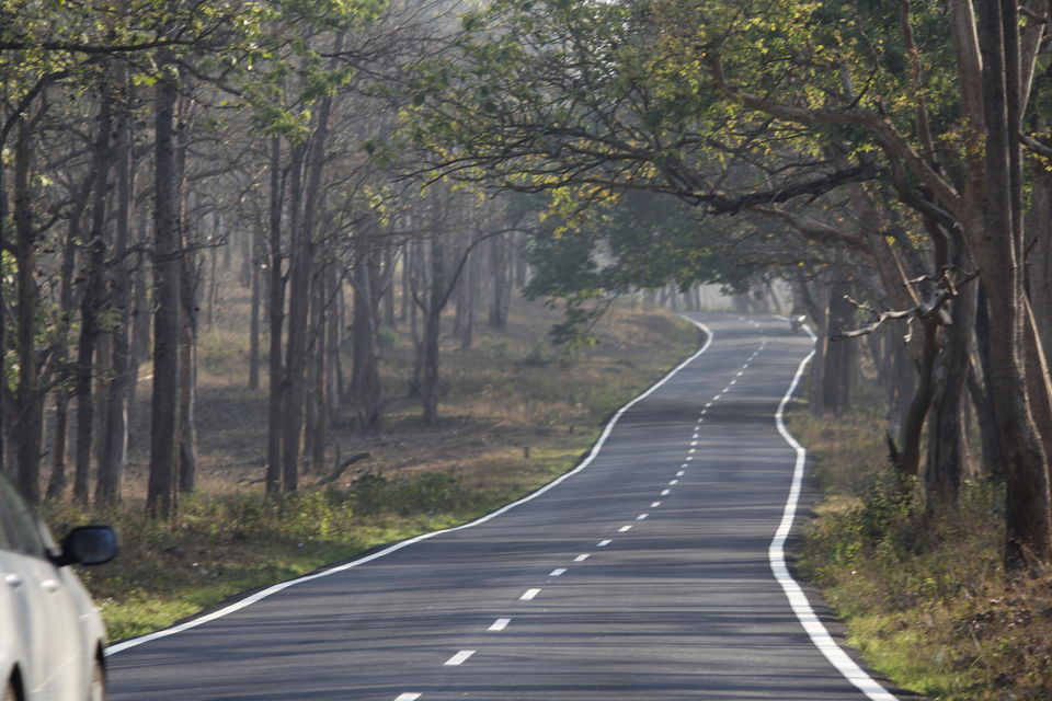 road trip from bangalore to bandipur