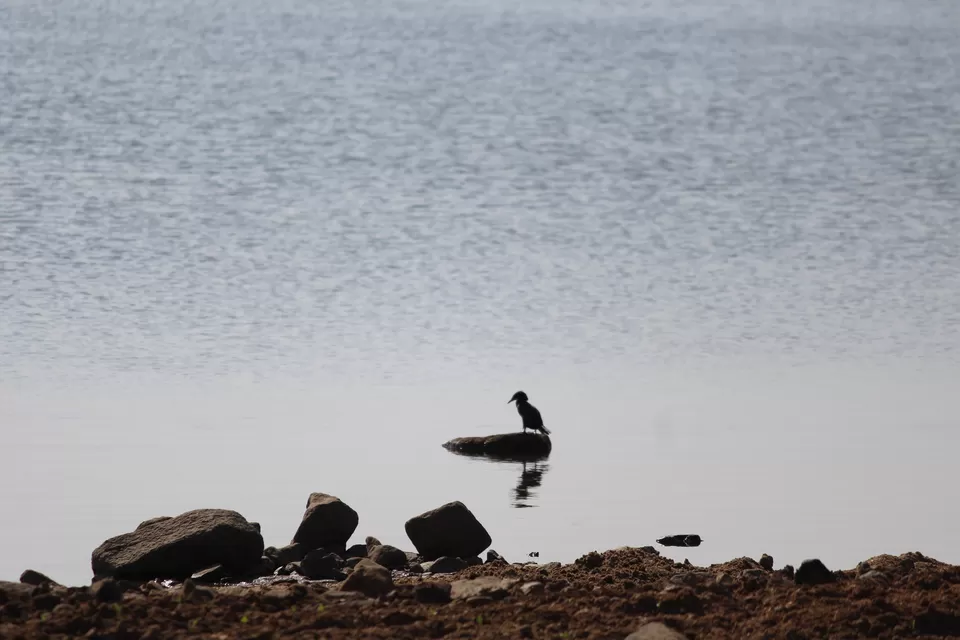 Photo of KRS Backwaters, Krishnarajasagara, Karnataka, India by Anil Kumar