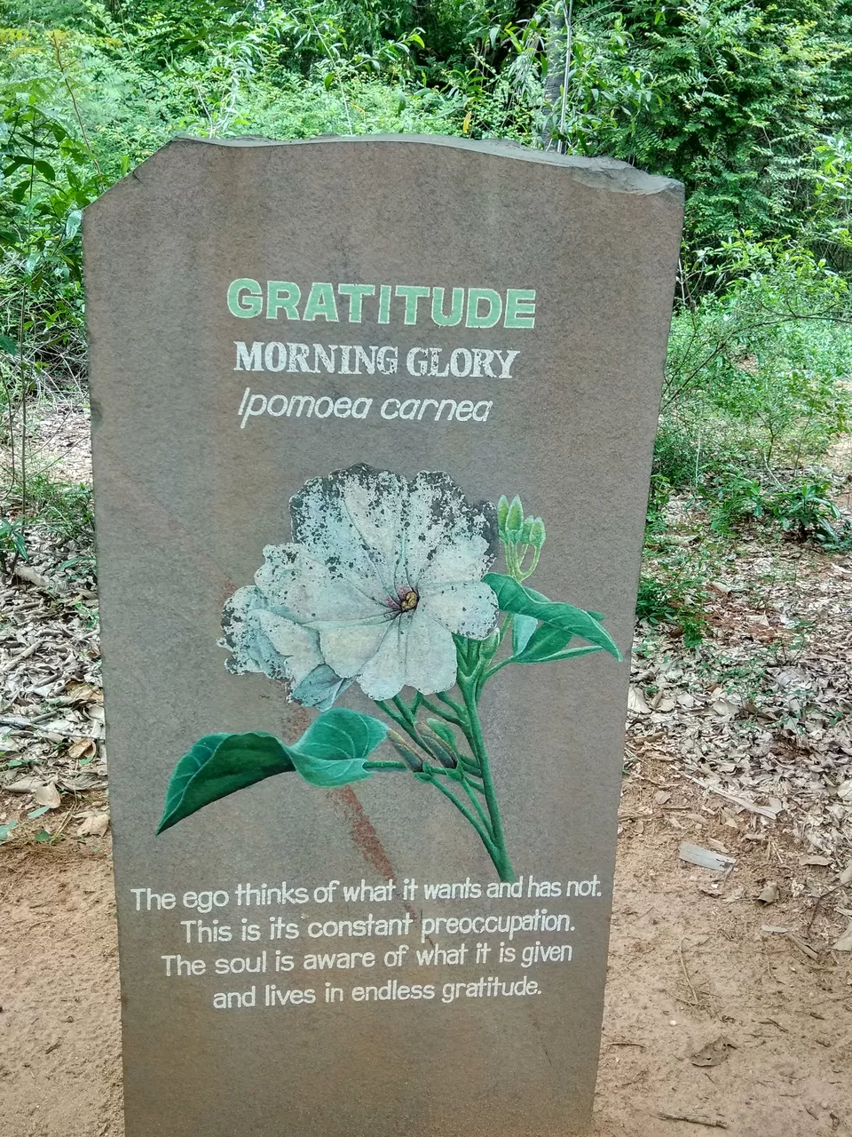 Photo of Auroville, Tamil Nadu, India by Anil Kumar