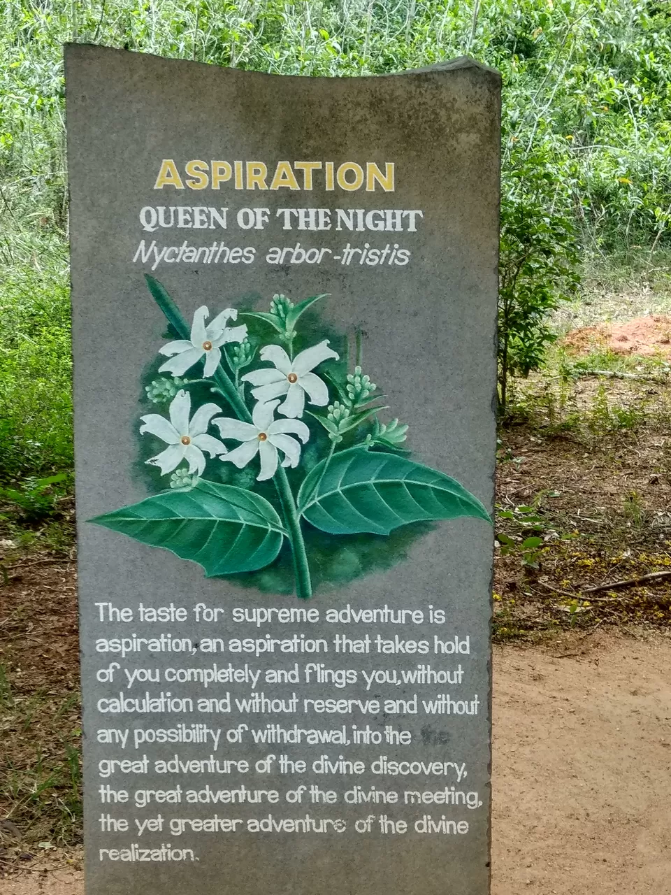 Photo of Auroville, Tamil Nadu, India by Anil Kumar