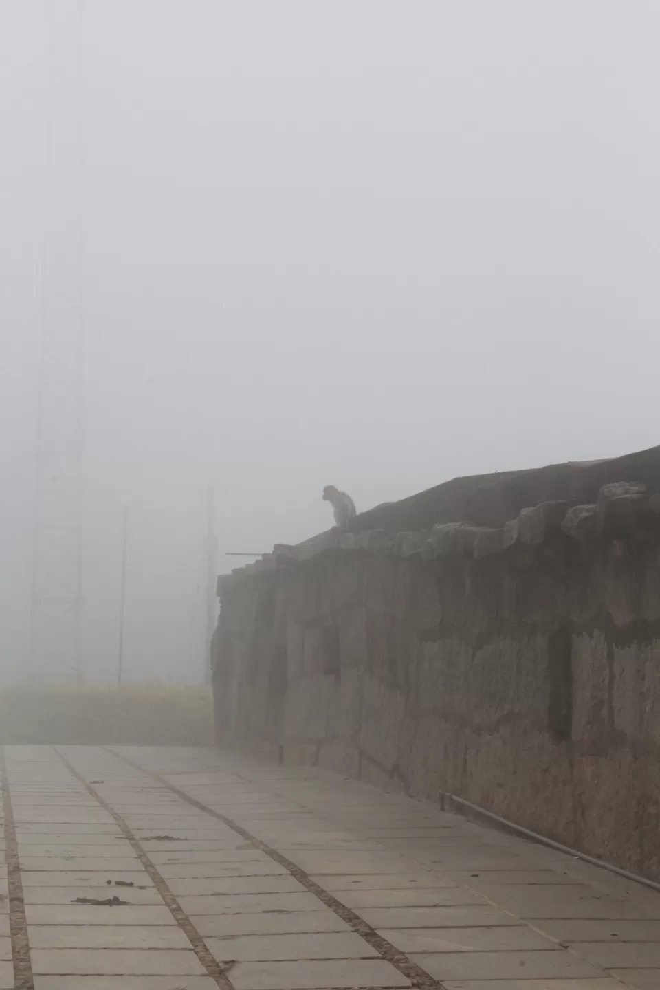 Photo of Nandi Hills, Karnataka, India by Anil Kumar
