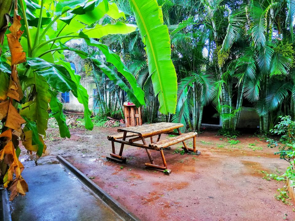 Photo of Mansion 1907, A Perfect Hostel for Nomads is only a kilometer away from Mysore Palace#ihearthostels 5/20 by Anil Kumar