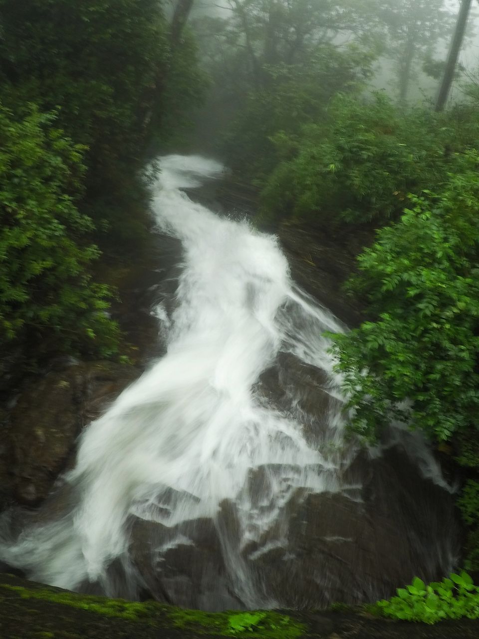 Photo of Monsoon Ride to the Jewel of Hill Stations called as Chikmagalur #westernghatsinphotos 1/8 by Anil Kumar