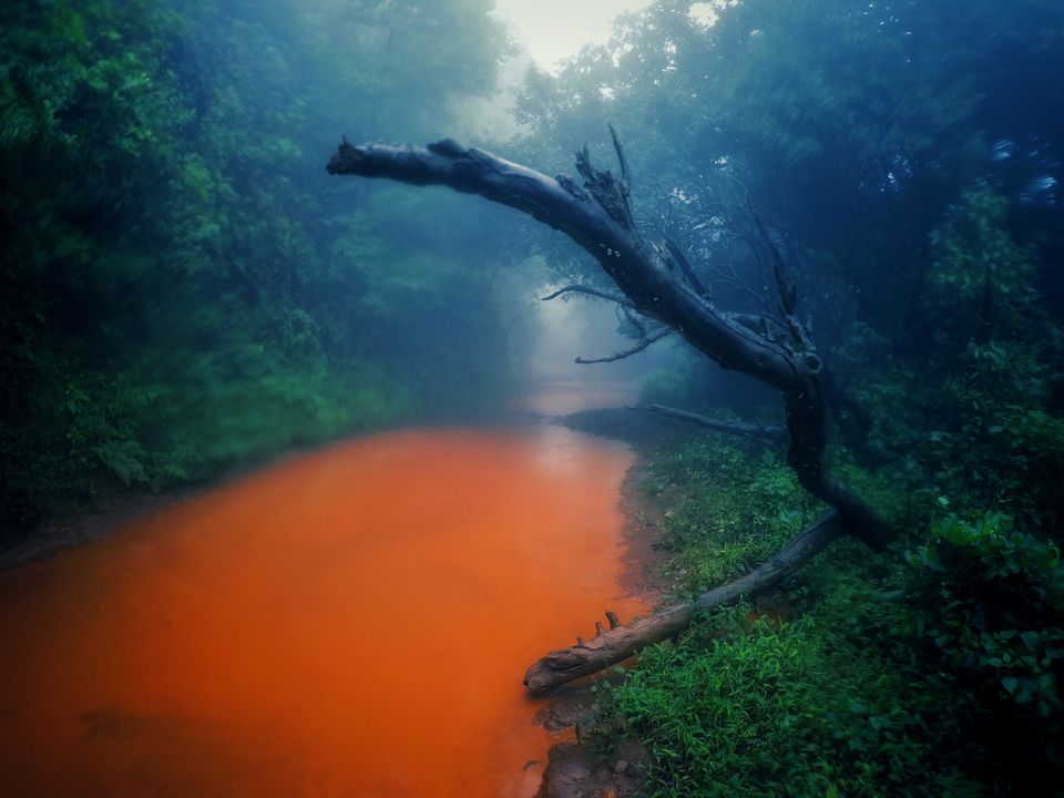 Photo of Monsoon Ride to the Jewel of Hill Stations called as Chikmagalur #westernghatsinphotos 3/8 by Anil Kumar