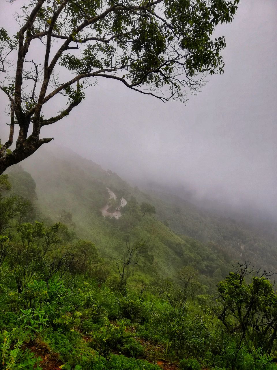 Photo of Monsoon Ride to the Jewel of Hill Stations called as Chikmagalur #westernghatsinphotos 4/8 by Anil Kumar