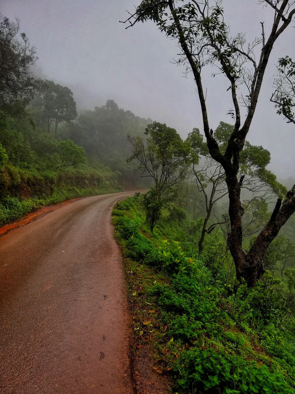 Photo of Monsoon Ride to the Jewel of Hill Stations called as Chikmagalur #westernghatsinphotos 5/8 by Anil Kumar