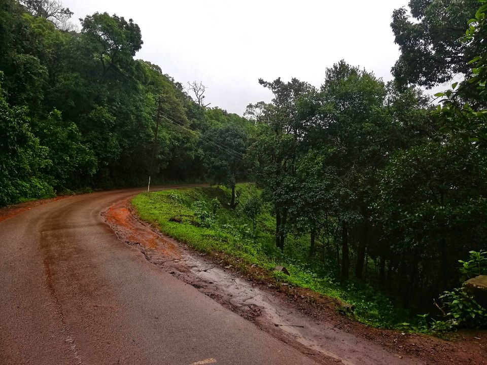 Photo of Monsoon Ride to the Jewel of Hill Stations called as Chikmagalur #westernghatsinphotos 7/8 by Anil Kumar