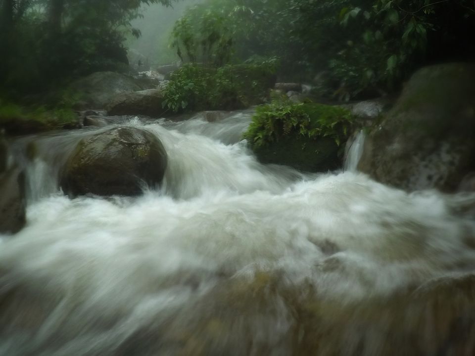 Photo of Monsoon Ride to the Jewel of Hill Stations called as Chikmagalur #westernghatsinphotos 2/8 by Anil Kumar