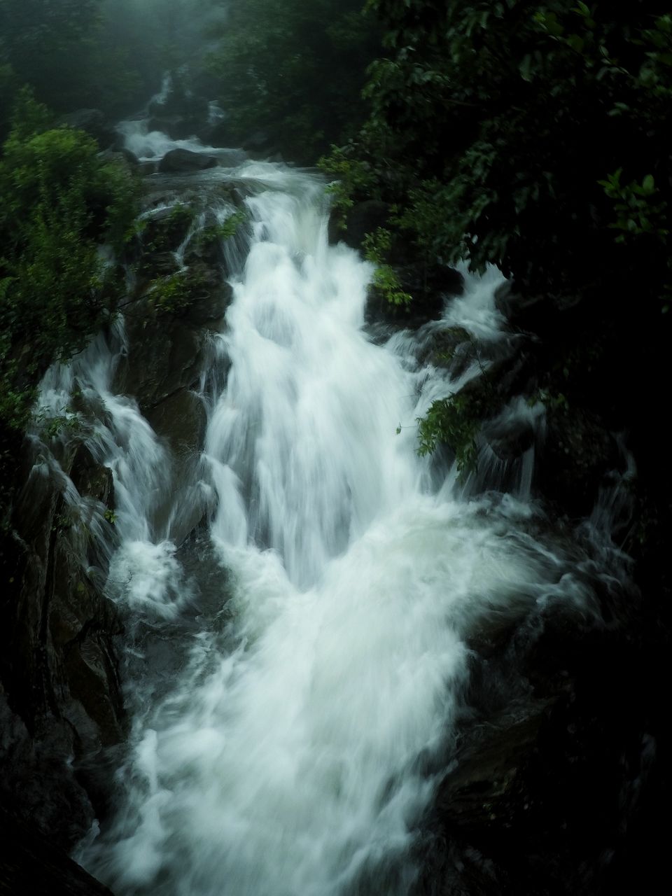 Photo of Monsoon Ride to the Jewel of Hill Stations called as Chikmagalur #westernghatsinphotos by Anil Kumar