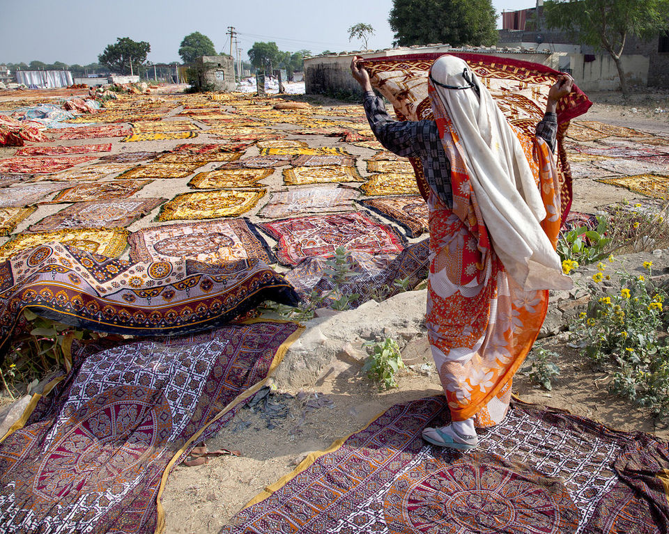 Photo of Jaipur, Rajasthan, India by Anil Kumar