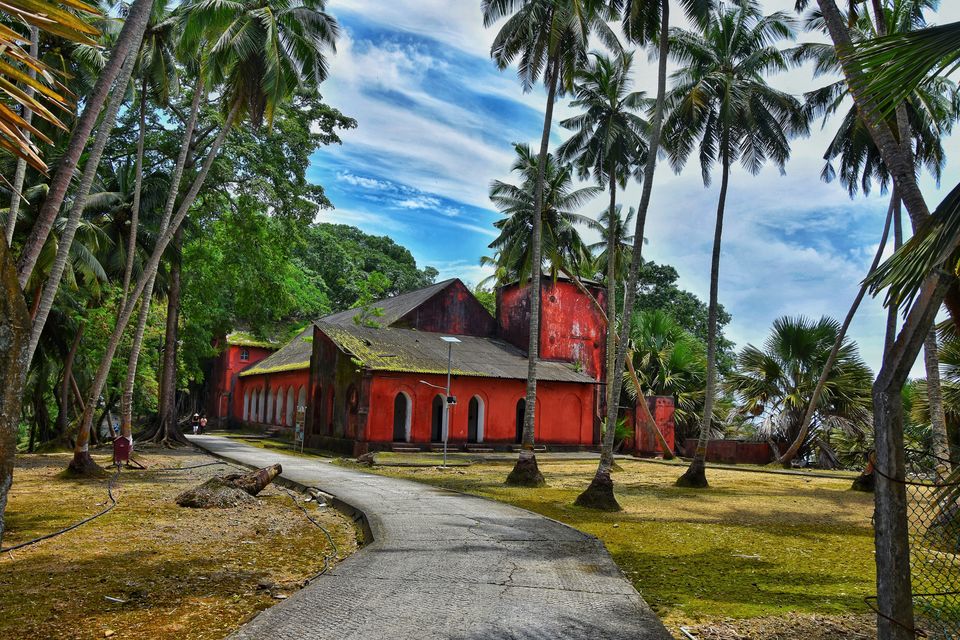 Photo of Tripoto's Gift trip to Andaman! 8 Reasons and 100+ Photos, Best Trip of this Year #bestof2018.. by Anil Kumar