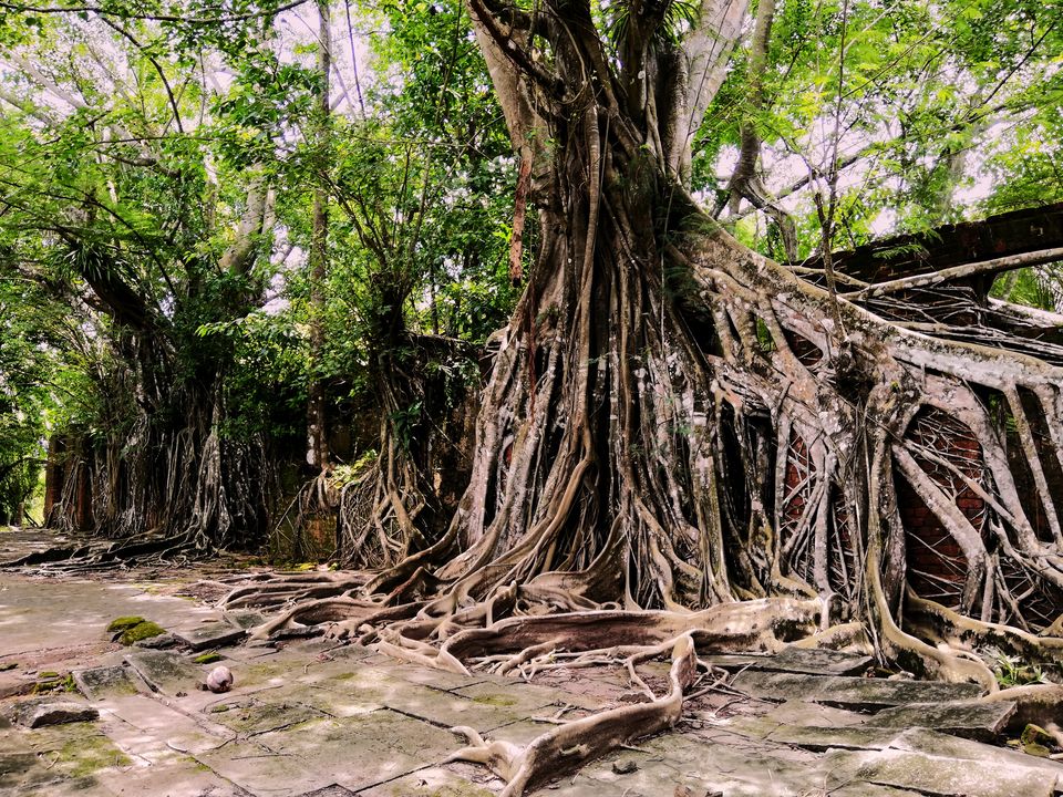 Photo of Tripoto's Gift trip to Andaman! 8 Reasons and 100+ Photos, Best Trip of this Year #bestof2018.. by Anil Kumar