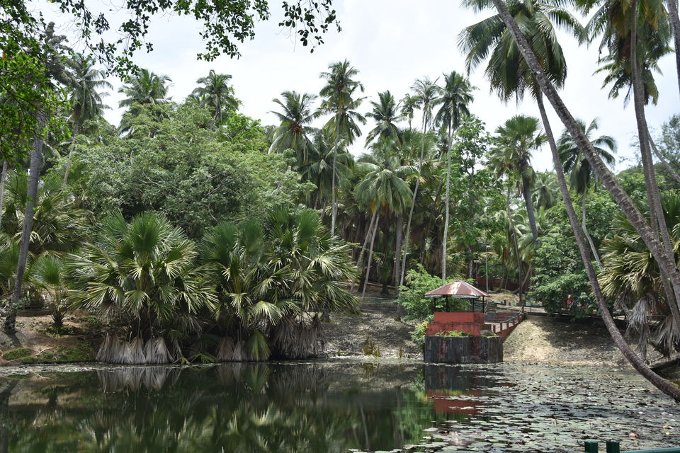 Photo of Tripoto's Gift trip to Andaman! 8 Reasons and 100+ Photos, Best Trip of this Year #bestof2018.. by Anil Kumar