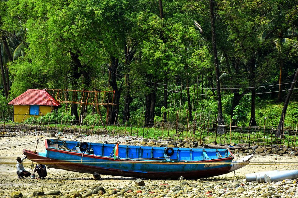Photo of Tripoto's Gift trip to Andaman! 8 Reasons and 100+ Photos, Best Trip of this Year #bestof2018.. by Anil Kumar