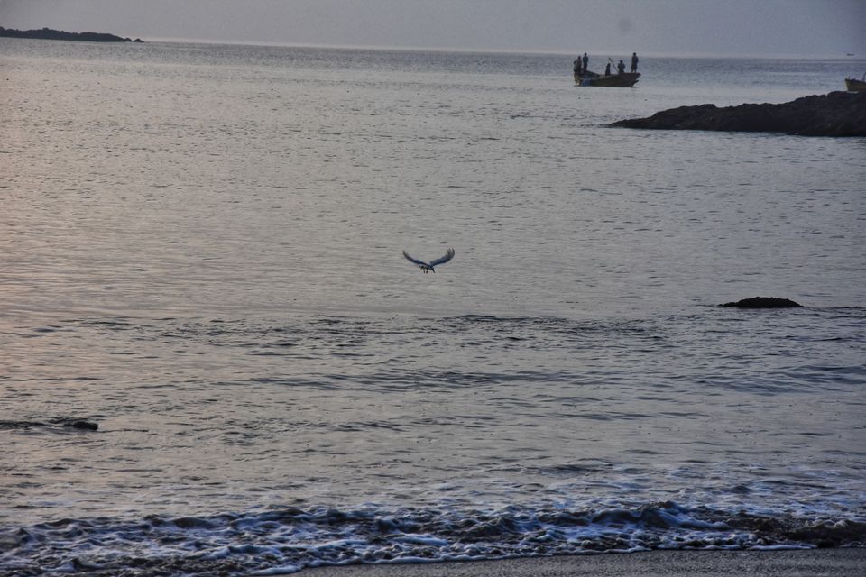 Photo of Tripoto's Gift trip to Andaman! 8 Reasons and 100+ Photos, Best Trip of this Year #bestof2018.. by Anil Kumar