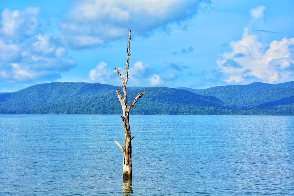 Photo of Tripoto's Gift trip to Andaman! 8 Reasons and 100+ Photos, Best Trip of this Year #bestof2018.. by Anil Kumar
