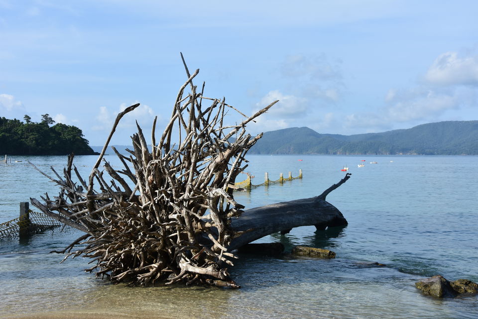 Photo of Tripoto's Gift trip to Andaman! 8 Reasons and 100+ Photos, Best Trip of this Year #bestof2018.. by Anil Kumar