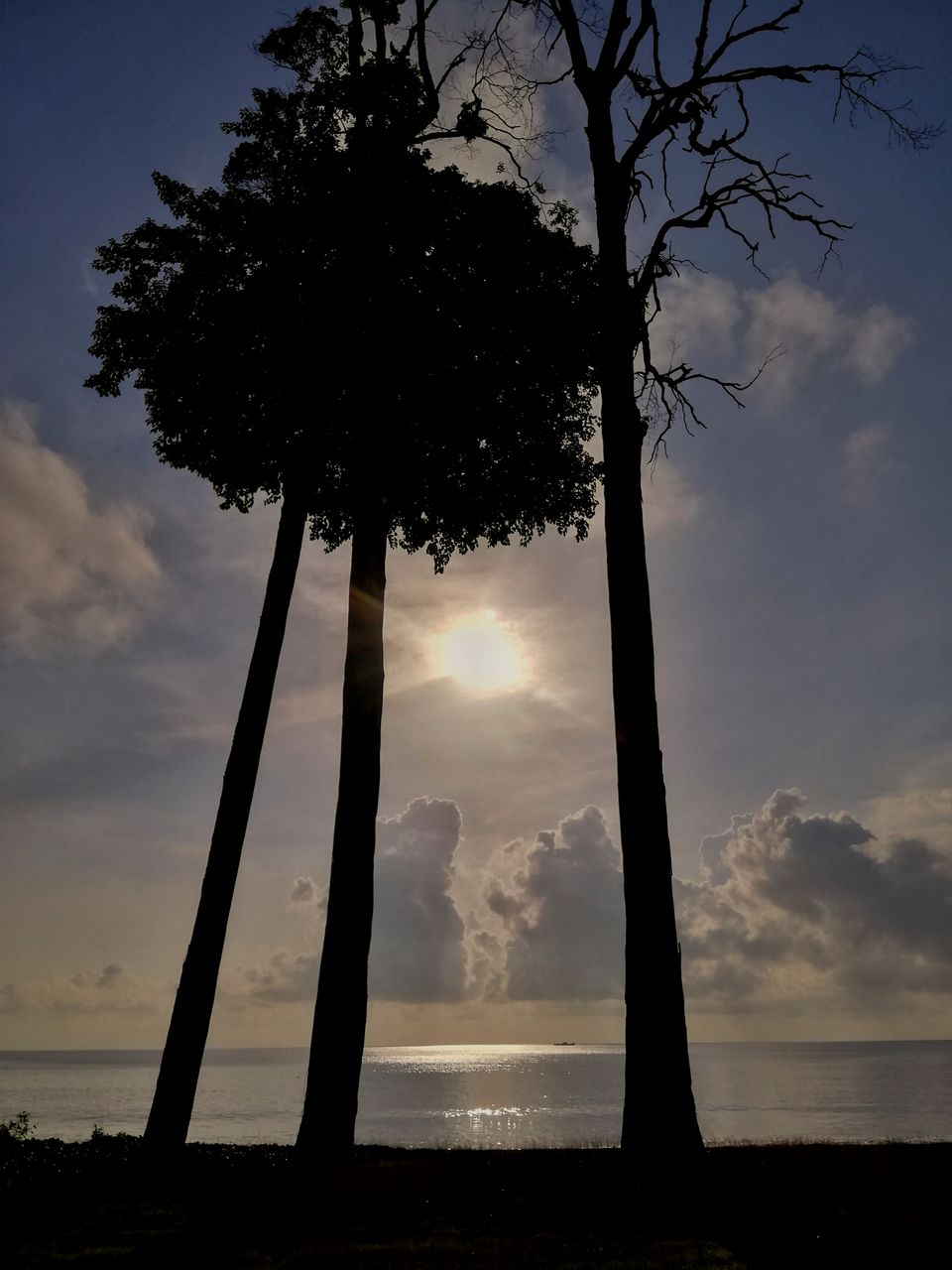 Photo of Tripoto's Gift trip to Andaman! 8 Reasons and 100+ Photos, Best Trip of this Year #bestof2018.. by Anil Kumar