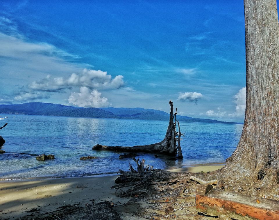 Photo of Tripoto's Gift trip to Andaman! 8 Reasons and 100+ Photos, Best Trip of this Year #bestof2018.. by Anil Kumar