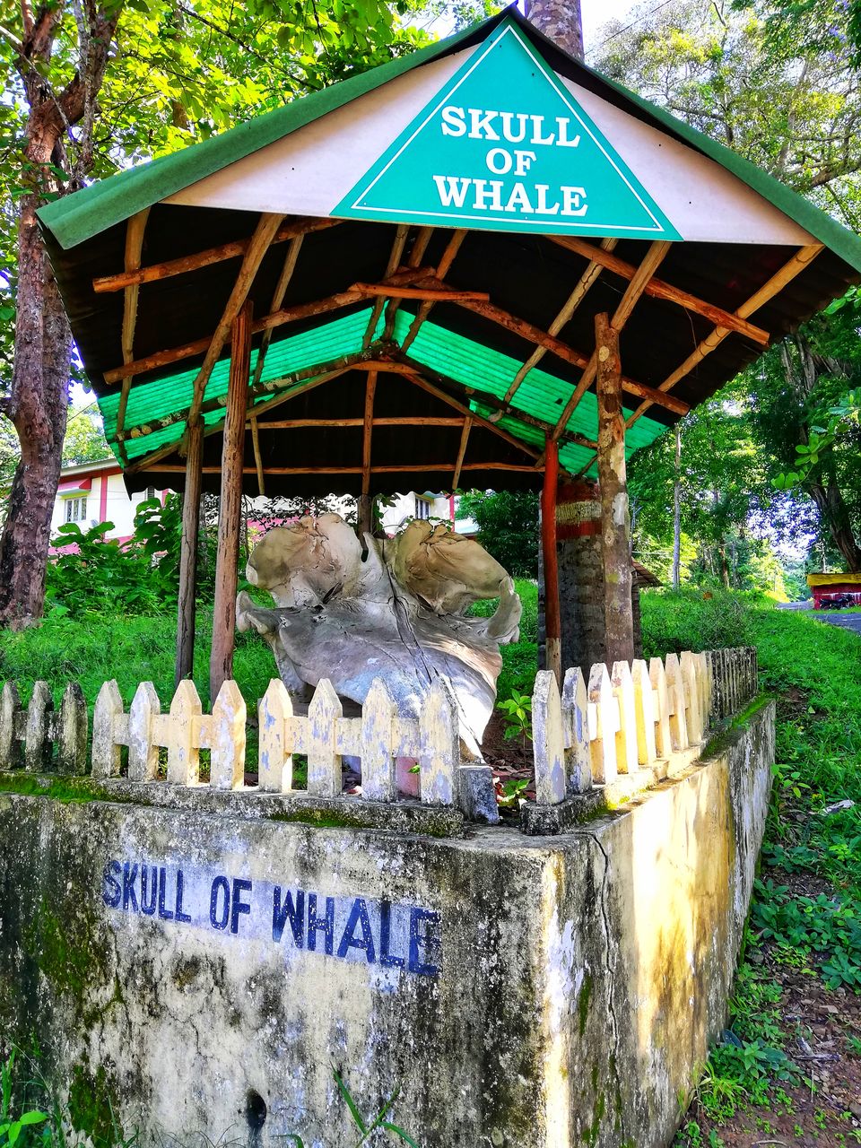 Photo of Tripoto's Gift trip to Andaman! 8 Reasons and 100+ Photos, Best Trip of this Year #bestof2018.. by Anil Kumar