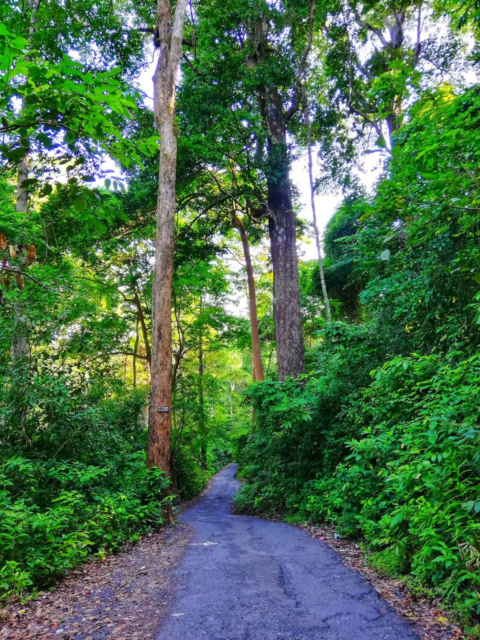 Photo of Tripoto's Gift trip to Andaman! 8 Reasons and 100+ Photos, Best Trip of this Year #bestof2018.. by Anil Kumar