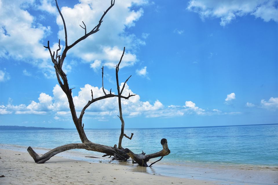 Photo of Tripoto's Gift trip to Andaman! 8 Reasons and 100+ Photos, Best Trip of this Year #bestof2018.. by Anil Kumar