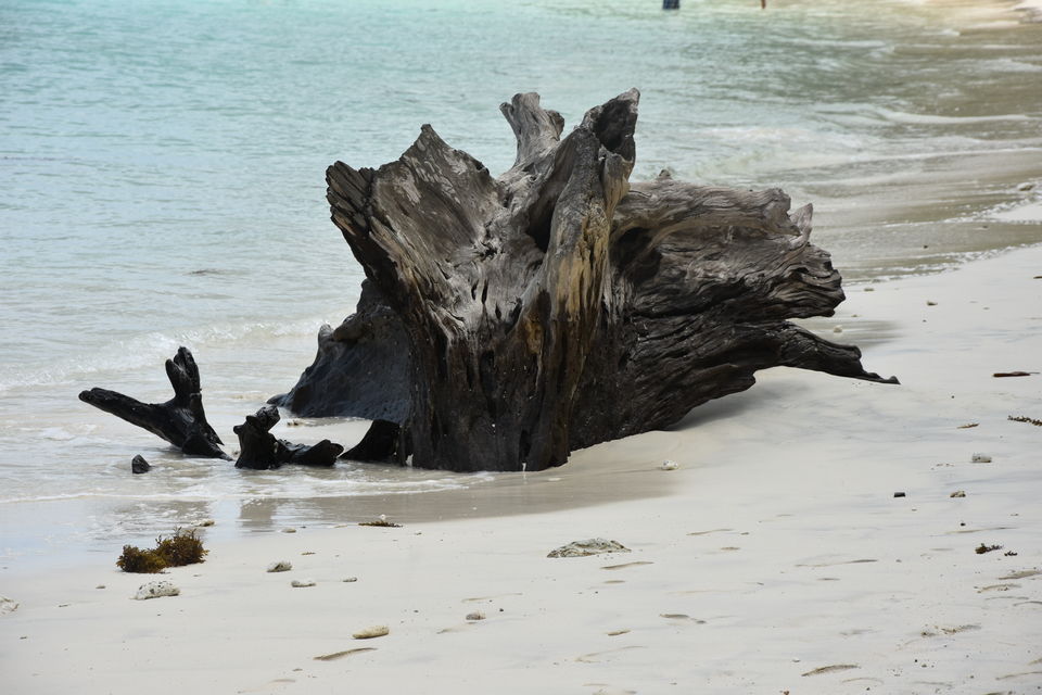 Photo of Tripoto's Gift trip to Andaman! 8 Reasons and 100+ Photos, Best Trip of this Year #bestof2018.. by Anil Kumar