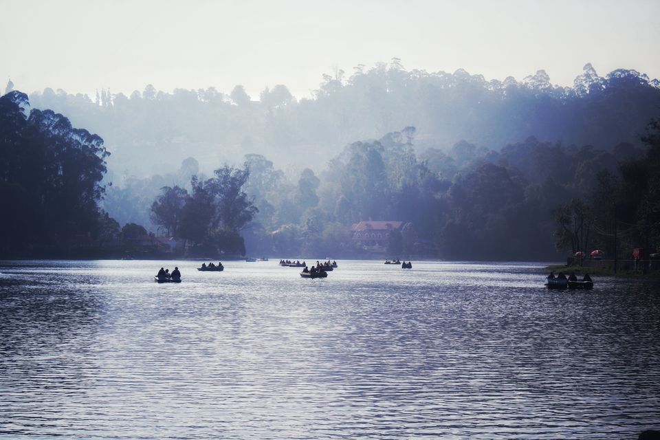 Photo of Kodaikanal Lake, Kodaikanal, Tamil Nadu by Anil Kumar