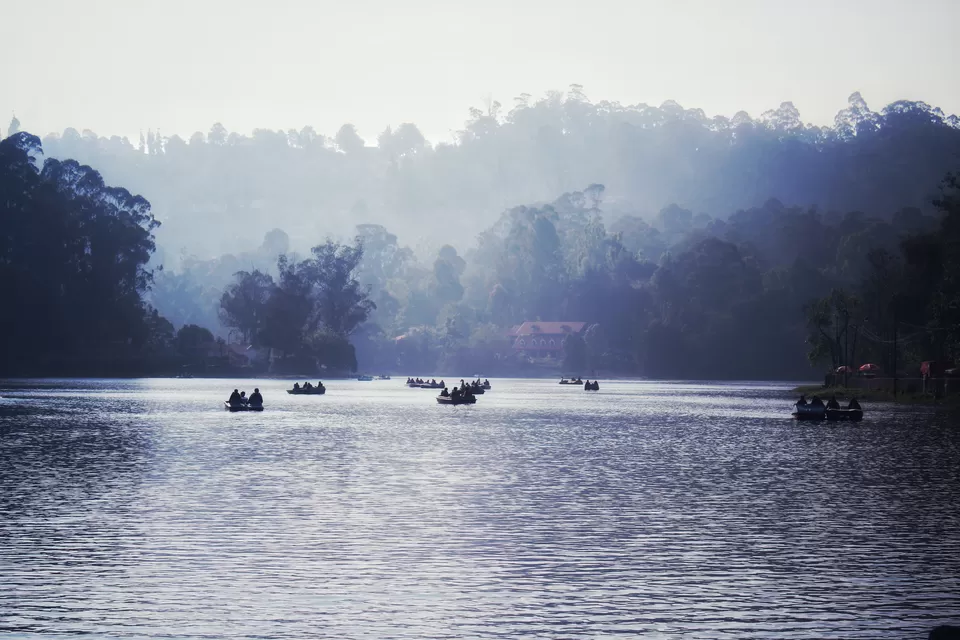 Photo of Kodaikanal Lake, Kodaikanal, Tamil Nadu by Anil Kumar