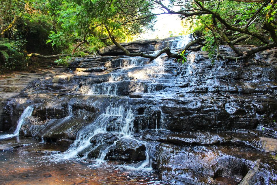 Photo of Fairy Falls, Kodaikanal, Tamil Nadu, India by Anil Kumar