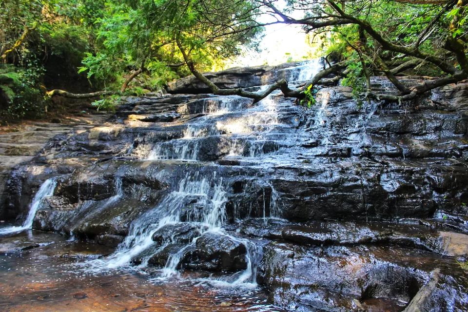 Photo of Fairy Falls, Kodaikanal, Tamil Nadu, India by Anil Kumar