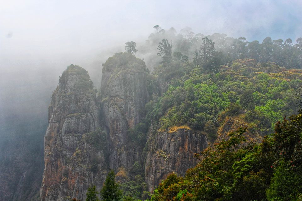 Photo of 48 Hours of Exotic Greenery in the Princess of Hill stations called Kodaikanal#westernghatsinphotos by Anil Kumar