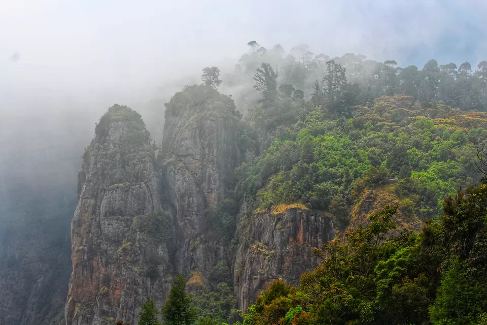 Photo of Pillar Rocks Viewpoint, Pillar Rocks Road, Kodaikanal, Tamil Nadu, India by Anil Kumar
