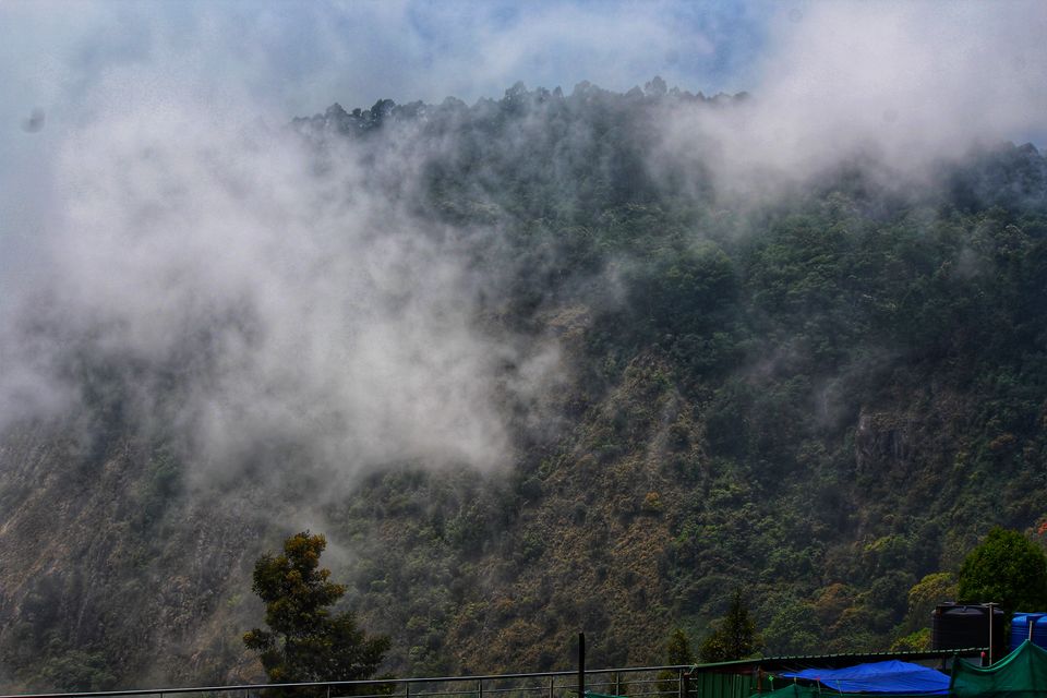Photo of 48 Hours of Exotic Greenery in the Princess of Hill stations called Kodaikanal#westernghatsinphotos by Anil Kumar